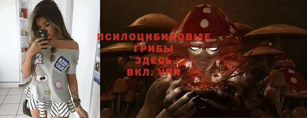 дживик Верея