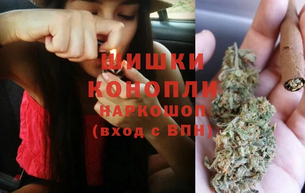 гидра Покровск
