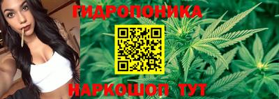 стафф Обнинск