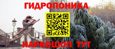 стафф Обнинск