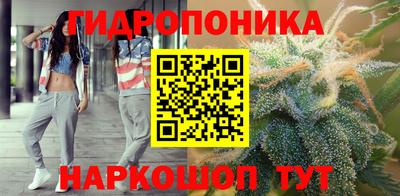 мдпв Обь