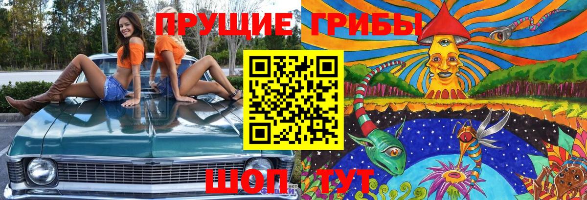 Волоколамск  Галлюциногенные грибы Psilocybine cubensis  Вход с VPN 